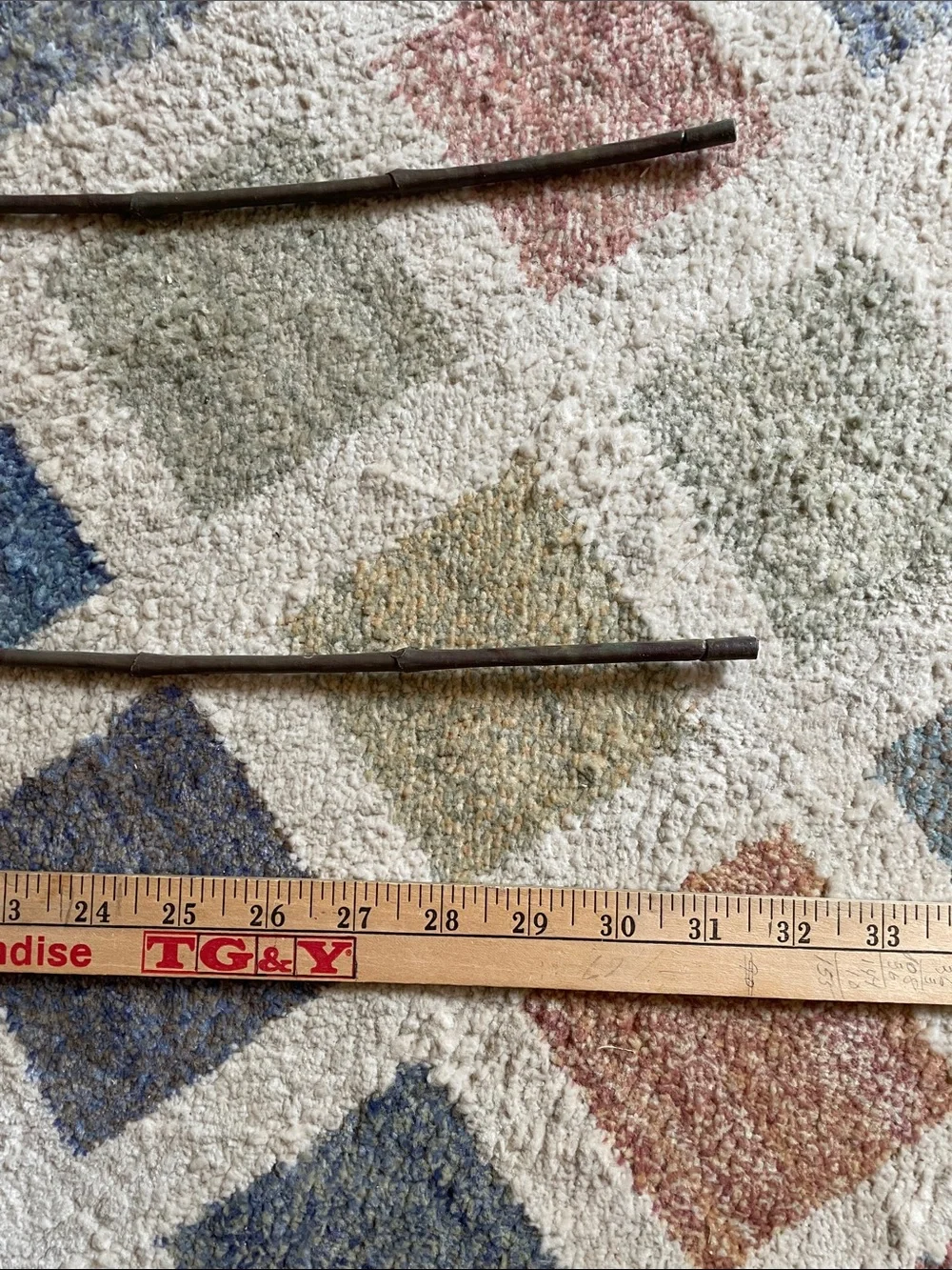 Gold Orchid Stems (2)